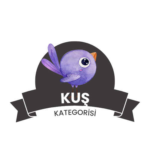 Kuş